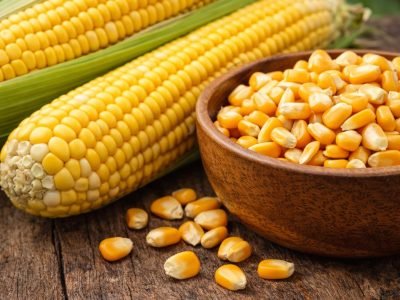 whatsapp image 2026 02 17 at 9.04.15 pm (1)