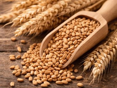 whatsapp image 2026 02 17 at 9.04.15 pm