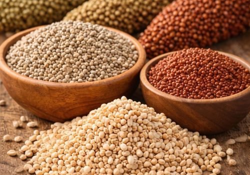 whatsapp image 2026 02 24 at 10.20.51 pm